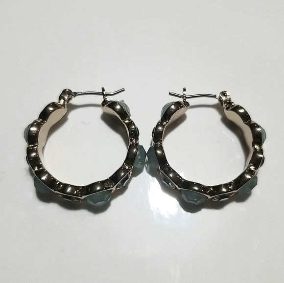 Jewelry - Sea Green/Gold Earrings